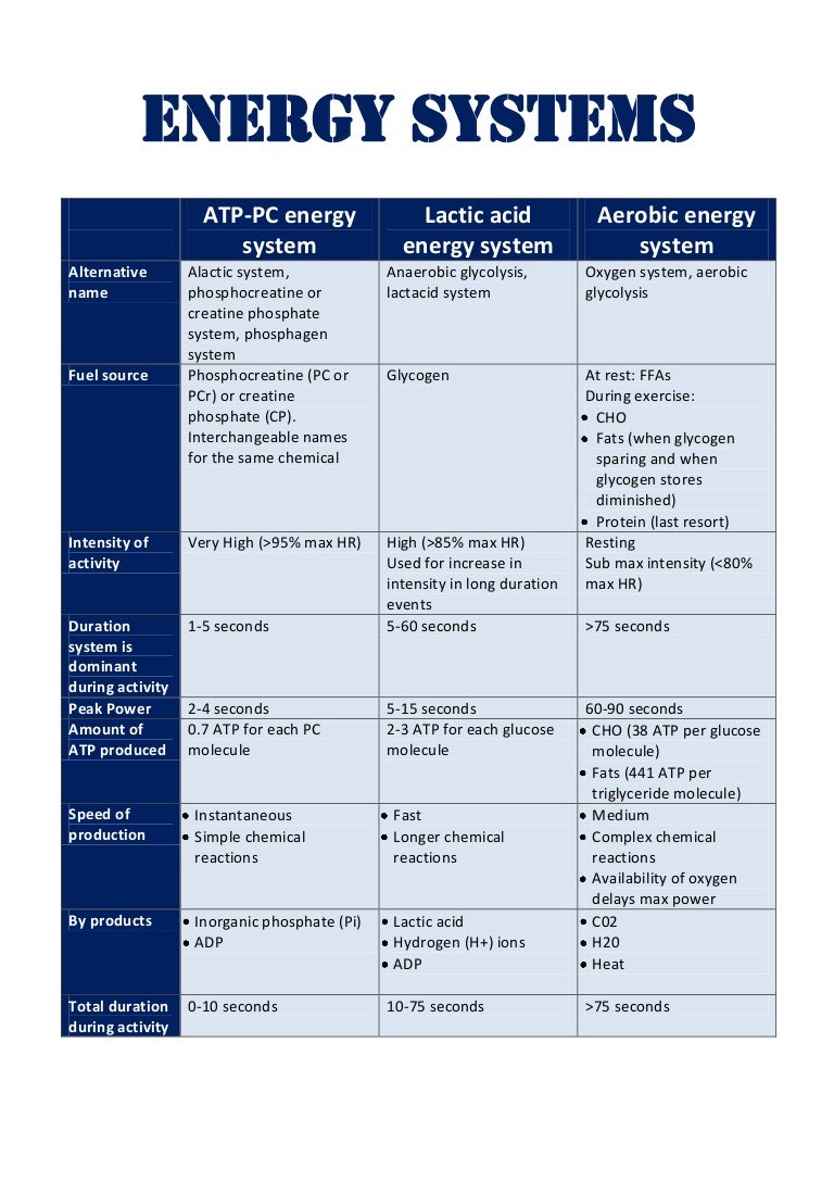 How Does the Phosphocreatine Energy System Power Muscles How Does the Phosphocreatine Energy System Power Muscles